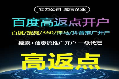 关键词竞价排名实战案例精选解析